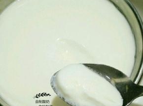 八小时之后酸奶就出来啦