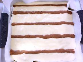 方形烤盘铺油纸，将翻拌好的面糊倒入模具，之后轻轻磕几下，震出气泡，之后用可可面糊在表层挤上几条直线