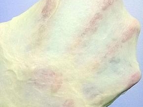 揉面结束后，取一小块面团，检查出膜情况