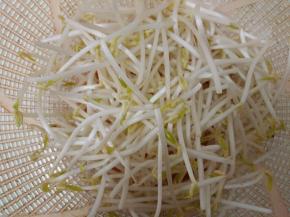 绿豆芽择去根后洗净备用。