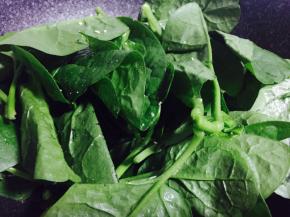 加入适量盐、料酒，翻炒均匀