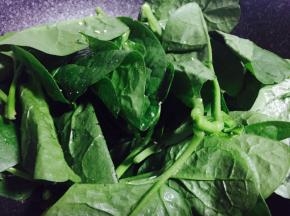 加入适量盐、料酒，翻炒均匀