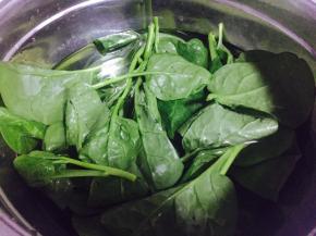 木耳菜泡水清洗干净