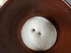 静置发酵，二个小时差不多，用手指沾面粉戳洞不回缩即发酵完成。