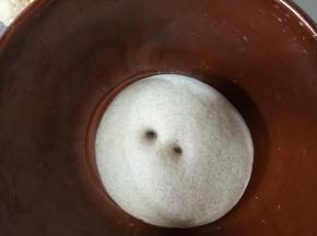 静置发酵，二个小时差不多，用手指沾面粉戳洞不回缩即发酵完成。