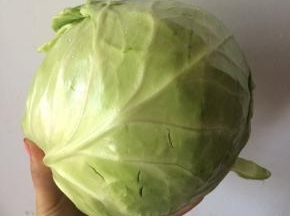 圆白菜半个。