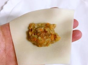 把馄饨皮放在手心，放入一勺肉馅儿！