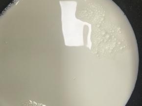 在盆中倒入牛奶，炼乳搅匀