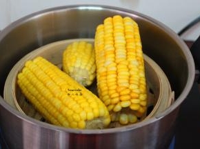 蒸熟的玉米粒粒饱满，光泽鲜艳，香甜美味，吃的时候淋上蜂蜜即可。
