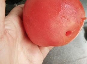 去皮后