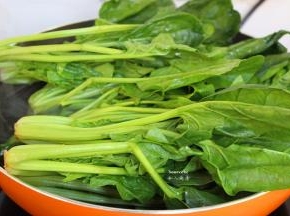 放入洗净的菠菜爆炒；