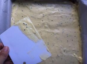 倒入膜具中，刮均匀，放入预热好的烤箱160度，30分钟，中层