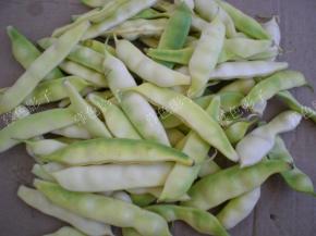 摘去二端的蒂把，洗净