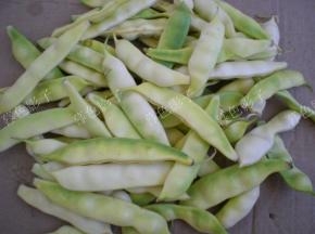 摘去二端的蒂把，洗净