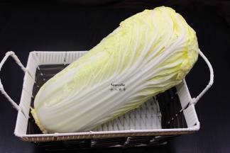 准备食材：大白菜、泡菜酱；PS：这颗大白菜不止500克，可以分成吃。