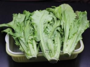 准备好新鲜的油麦菜；PS：选择嫩油麦菜。