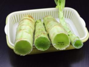 准备好新鲜的莴笋，太长切段；