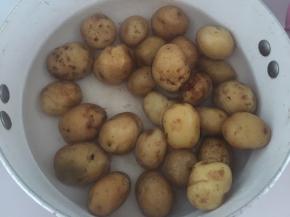 然后再用清水洗过一下