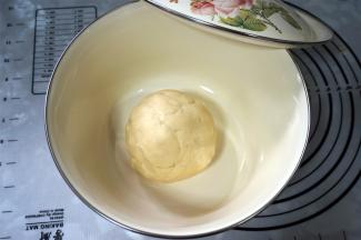 将揉好的面团盖好，醒发20分钟。