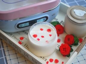 发酵完毕后，趁热加入细砂糖拌均匀即可。冷藏钝化一天后再食用，口感更佳，酸奶更浓稠。