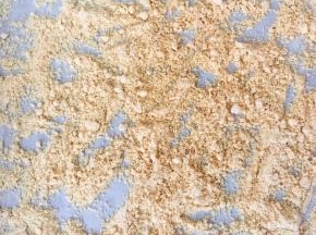 烤盘上铺油纸，将杏仁粉放在烤盘上，烤箱预热170度烤6分钟，杏仁粉烤出微黄色，取出凉透备用