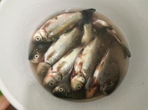 活鱼处理好后用清水浸泡十分钟，泡去血水之后把鱼腹里的黑膜去除干净。