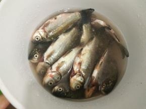 活鱼处理好后用清水浸泡十分钟，泡去血水之后把鱼腹里的黑膜去除干净。