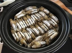 把蛏子码入盐中。