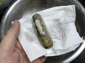 最后用厨房纸吸干水份。