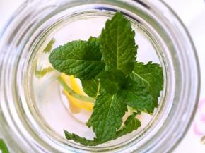 加入薄荷叶，不喜欢浓郁薄荷味道的，可以少放一点薄荷