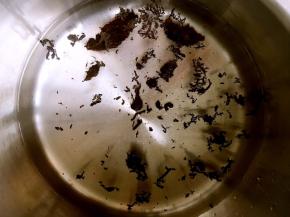 红茶加水煮开，小火煮4至5分钟