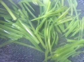 莴苣切丝，锅中烧开水，焯烫30秒左右关火