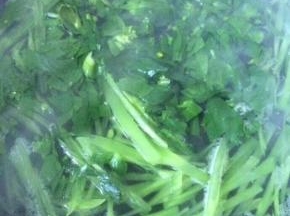 加入切碎的青菜末一起再烫5秒左右