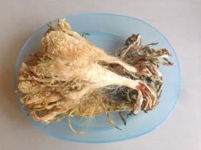 取50克剑花，不要看分量很少，用水泡开，煲好之后就不少了