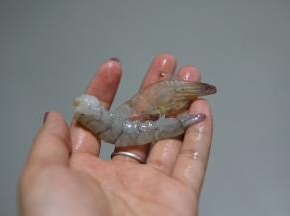 虾去头，去壳