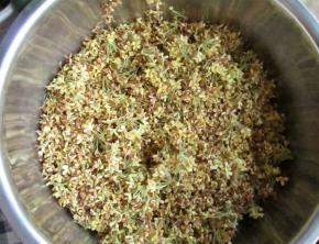 采摘的桂花回来要尽快捡干净，以免变色