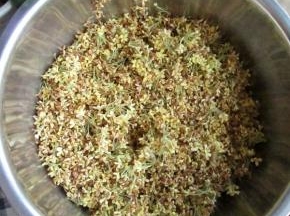 采摘的桂花回来要尽快捡干净，以免变色