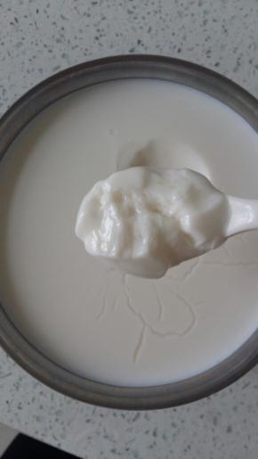 当当当当，酸奶出炉……是不是很简单