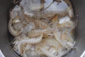 虾爬子挑活蹦乱跳的买回洗净，有膏的更好吃，膏在虾背，很黄，一眼就能看出。