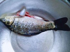 首先将鱼鳞清理干净。