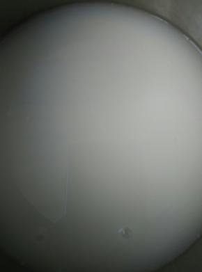 牛奶要常温的，把酵母放里溶解