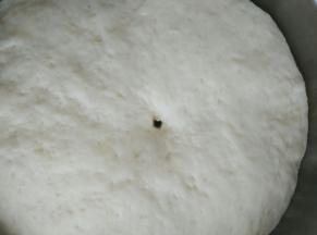 发酵至二倍大时即可