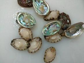 去除内脏洗净沥干水分。