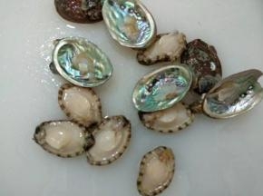 去除内脏洗净沥干水分。