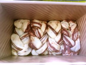 装入450克的吐司模具，放入烤箱二次发酵，烤箱没有发酵功能的，可以在烤箱内放碗热水发酵