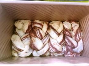 装入450克的吐司模具，放入烤箱二次发酵，烤箱没有发酵功能的，可以在烤箱内放碗热水发酵