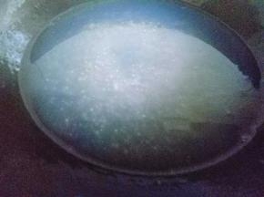 直到煮至西米几乎透明状态，这时可以关火，不要打开盖子，借助余温闷15分钟。