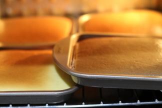 放入烤箱，我是东菱烤立方，最底层放一盘，上面架烤网放四盘，等烤完取出上层，最底层加烤5分钟。