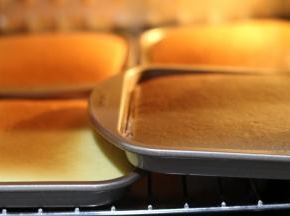 放入烤箱，我是东菱烤立方，最底层放一盘，上面架烤网放四盘，等烤完取出上层，最底层加烤5分钟。