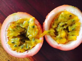 还是市场买的果子好，挑重的，饱满。